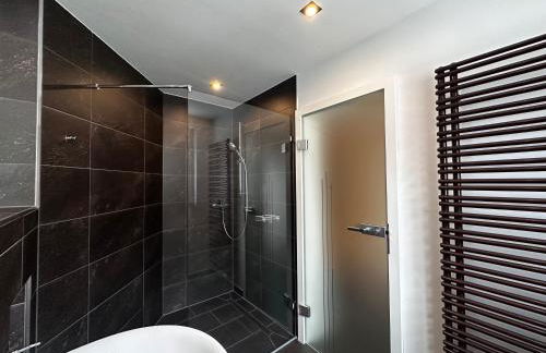 Weinrebe Oberhermsdorf nahe Dresden - Foto 8