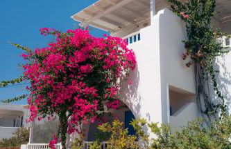 Pothiti Studios - Photo 34