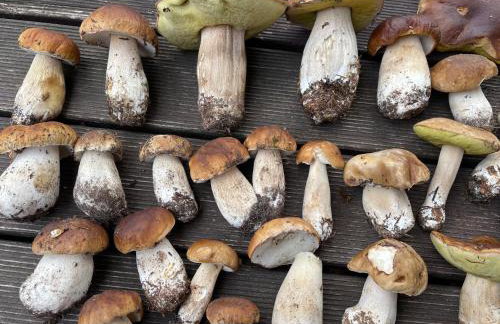 Żurawi klangor - dom z sauną i jacuzzi - Foto 43