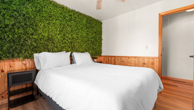 Lucky Paws - Foto 2, Habitación