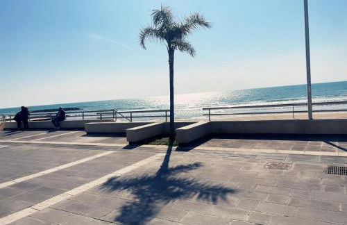 Isola della Magia - Foto 26