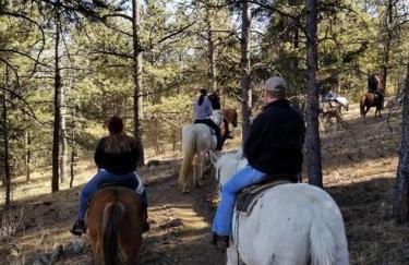 New! Adorable Cabin in Colorado National Forest - Foto 16
