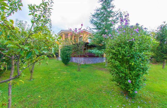 Villa Kirkpinar Sapanca - Foto 40