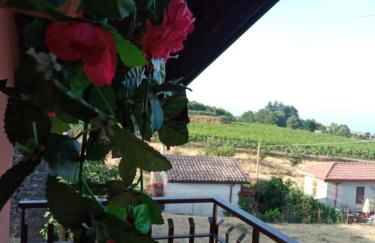 Petite Maison dell'Etna - Foto 8