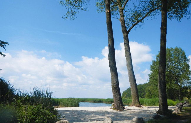 Ferienhaus Lotusblume in Zirchow - Foto 17
