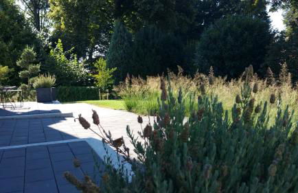 Intermezzo Emmerich - Foto 24