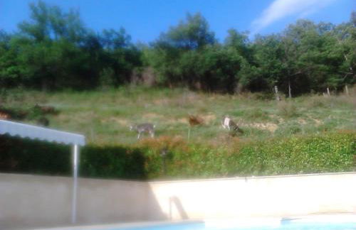 LES TILLEULS - Foto 8