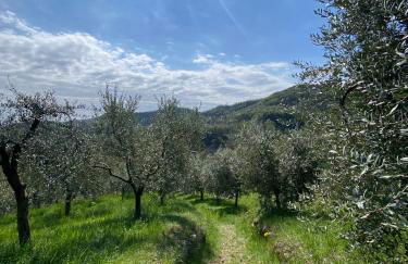 La Casetta in Costa - Foto 19