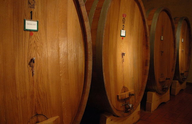 Tenuta Moriano - Foto 59