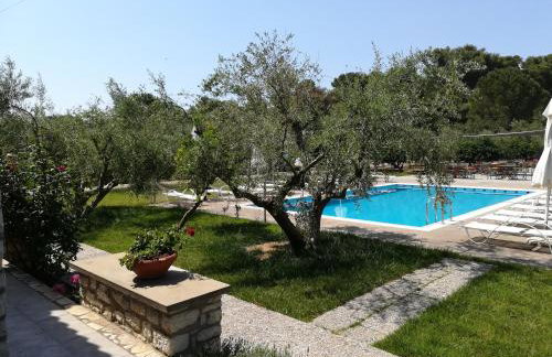 Asfendamos - Foto 11