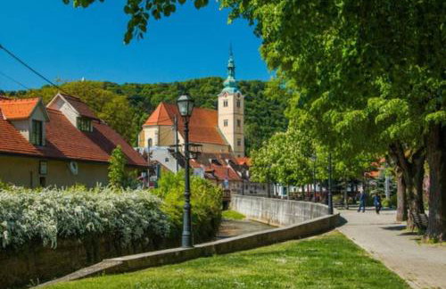 GreenHouse pool & spa - Foto 42