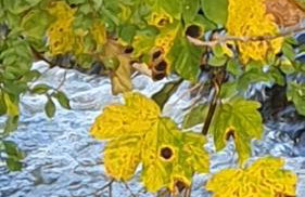 Gîte d'Anne et Ulysse - Foto 43