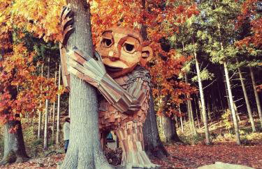 Gemütliches Familienapartment im Bayrischen Wald POOL NETFLIX - Foto 16