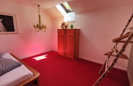 Abendsonne - Foto 17