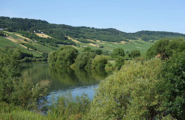 Stylish Apartment in Merschbach near Forest - Photo 34