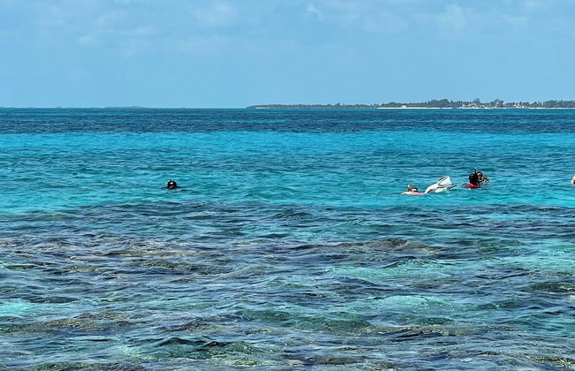 Blue Bay Cottage - Foto 39