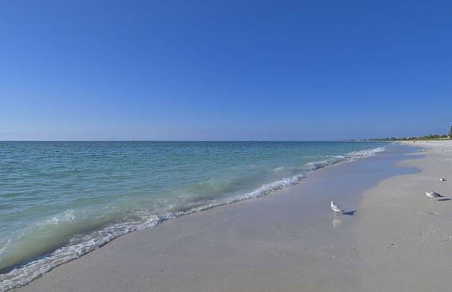 Village des Pins 3645 - Photo 39