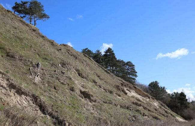 5 Person Holiday Home in Frederiksvaerk - Foto 12