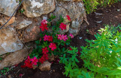 Island home Servantesa - Foto 36