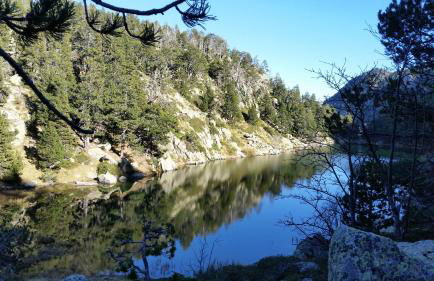 Le Renne Blanc Pyrénées de France - Foto 57