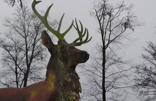 Hollerhof - Urwüchsiges Paradies - Kreativurlaub - Foto 36