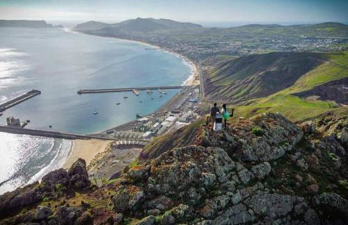 O DRAGOEIRO da Madalena! - Foto 49