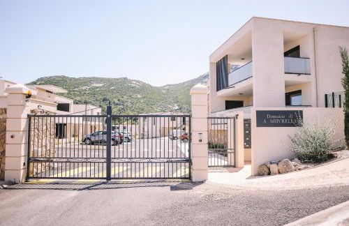 Domaine DI AMUVRELLA - Foto 39