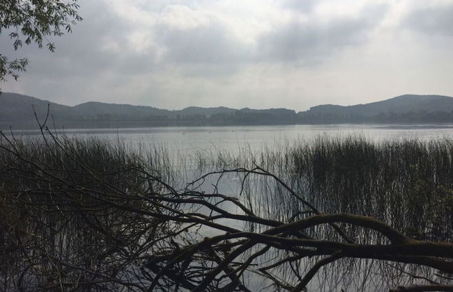 Uitzicht op de Pellenz - Foto 21