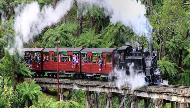 Puffing Billy and Healesville Sanctuary Bus Tour - Photo 3