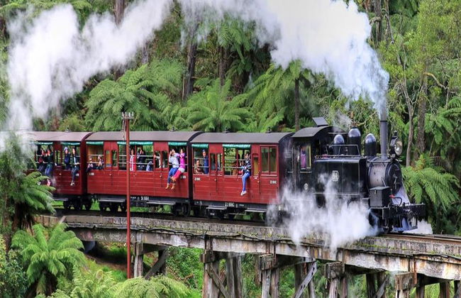 Puffing Billy and Healesville Sanctuary Bus Tour - Photo 3