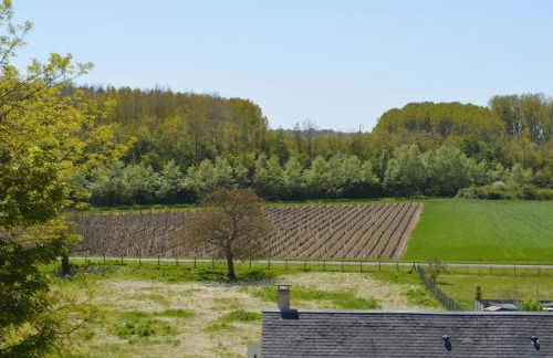 Charmant gîte à Vouvray avec 2 chambres et jardin - FR-1-381-167 - Photo 14