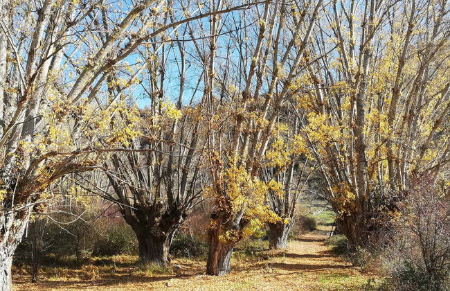 Quejigares de Barriopedro & Brihuega Hiking Tour - Photo 2