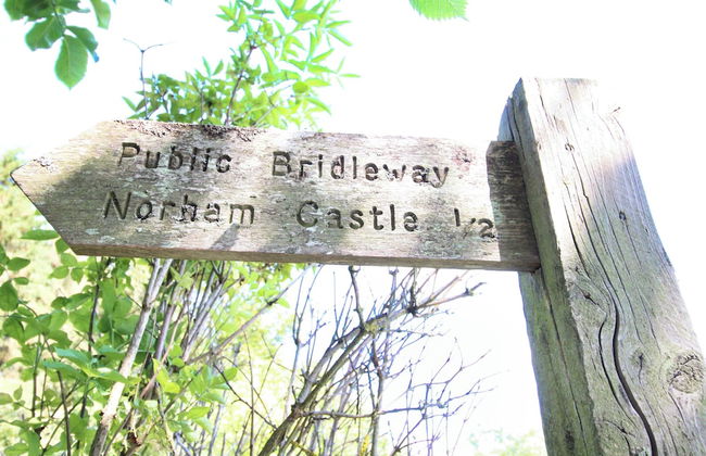 3 Bedroom 2 Bathroom Cottage Norham Berwick-upon-tweed -log Fire - Dog Friendly - Foto 41