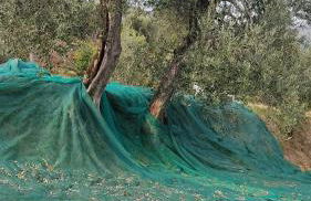 Appartamento Cristol - Foto 45