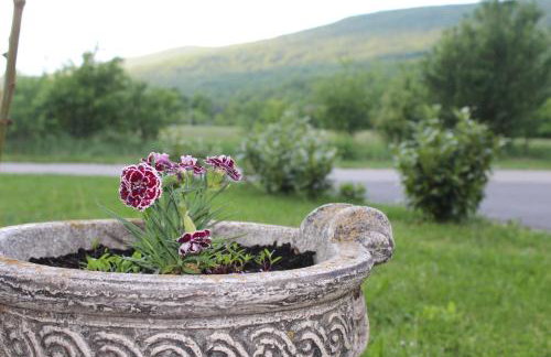 Apartman Tonković - Foto 6