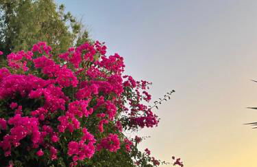 Villa Maina - Foto 44