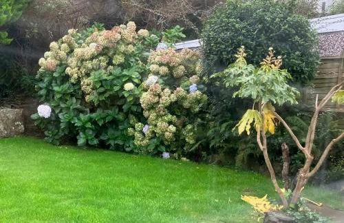 Coastal Boutique Luxury Home With Sea Views - Pass the Keys - Photo 32