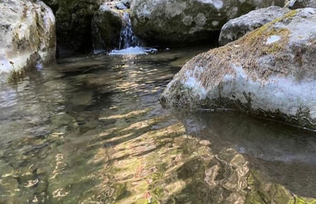 Tuscany Family Country Home - Photo 27