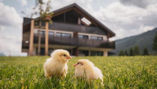 Sottla - your mountain home - Photo 2