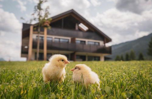 Sottla - your mountain home - Photo 2