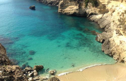 Vecchio Ulivo - Foto 32