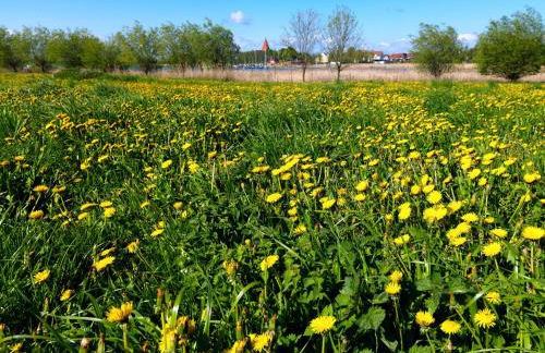 Landhaus Residenz Kirchsee Westwind - Foto 19