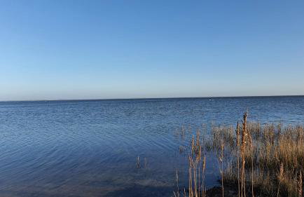 Haus am Meer bitte sehr ! - Foto 45