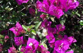 vistas a mar, en paraje natural - Foto 62