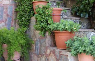 Mary's house - Photo 67