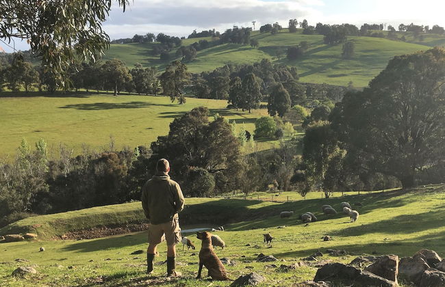 Balingup Highview Chalets - Foto 26