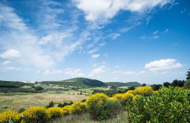 Cignella Resort Apartment Cipresso - Photo 12