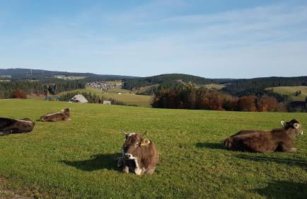 Ferienwohnung am Schneeberg - Foto 52