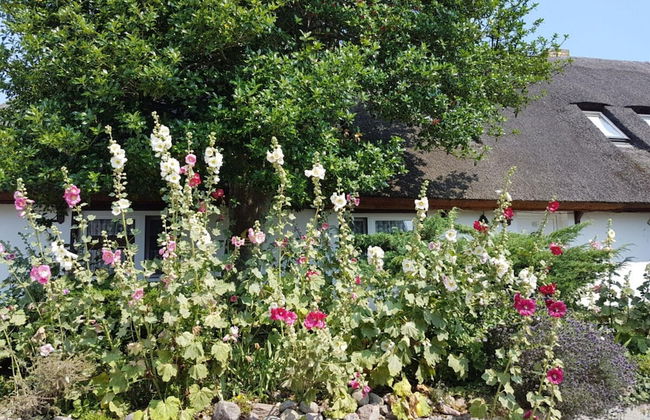 Modern Apartment Near Seabeach - Photo 11