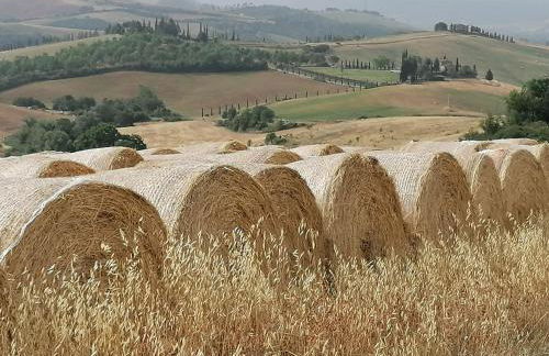 Casa Vacanze Carducci - Foto 15